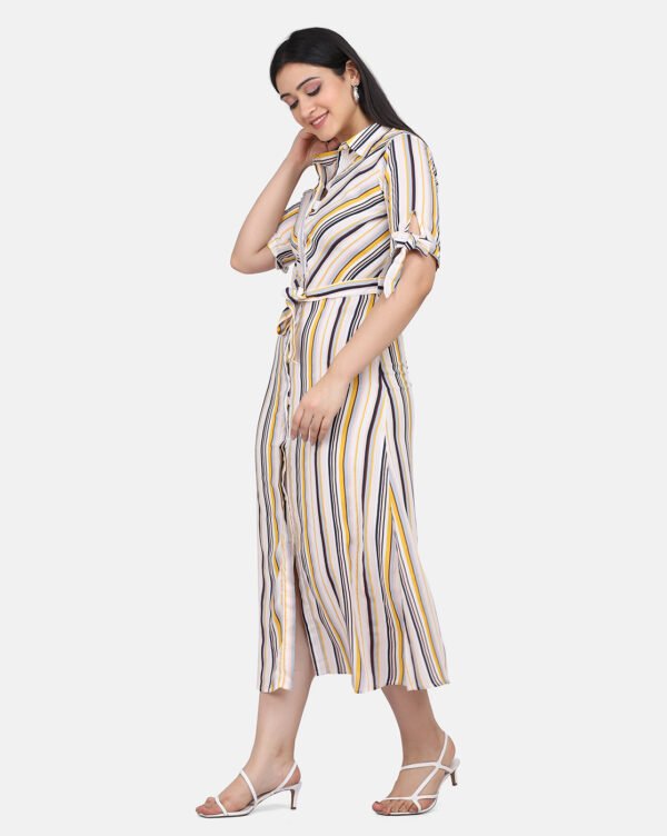 IMG_0159 Shirt Dress With Hand Embroidered French Knots