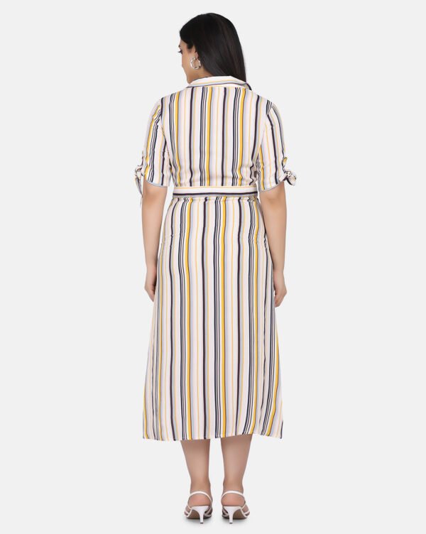 IMG_0164 Shirt Dress With Hand Embroidered French Knots