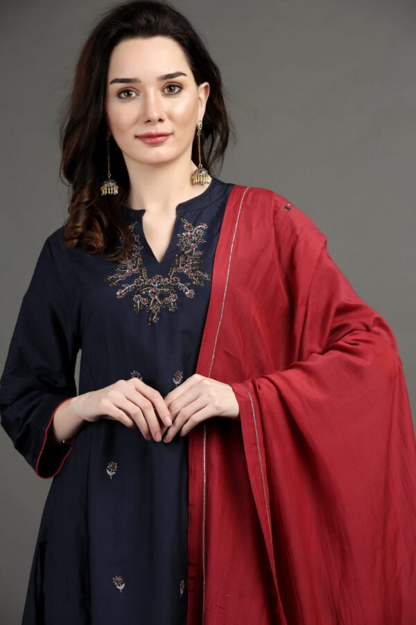 IMG_0976 Red Cotton Silk Hand Embroidered Organza Dupatta