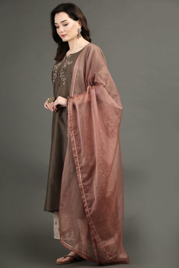 Delicate Hand Embroidered Silk Chanderi A Line Kurta With Beige Hand Embroidered Cotton Silk Farshi (Set Of 2)