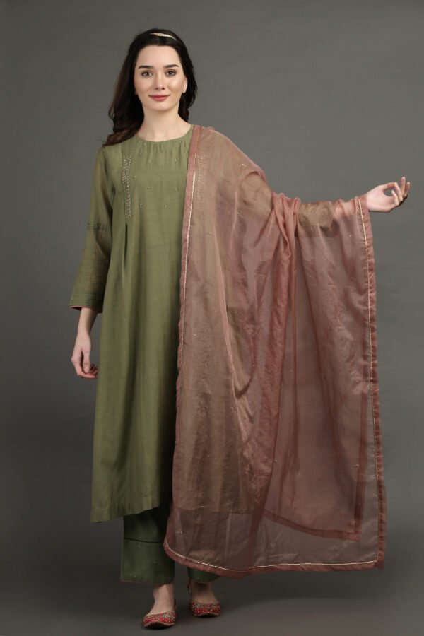 Delicate Hand Embroidered Organza Dupatta