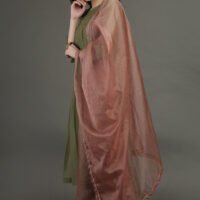 Delicate Hand Embroidered Organza Dupatta