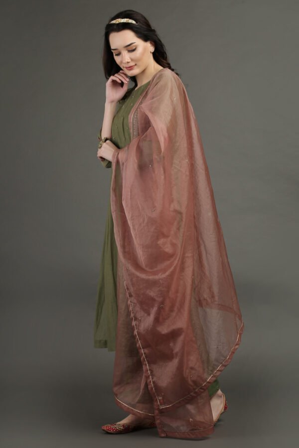 Delicate Hand Embroidered Organza Dupatta