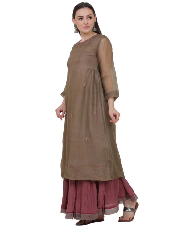 Silk Organza Hand Embroidered kurta